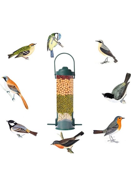 Ağırlık Aktif Dönen Levrek - Tohum Kapasitesi ile Kanıt Vahşi Kuş Besleyici (Yurt Dışından) fırsatları