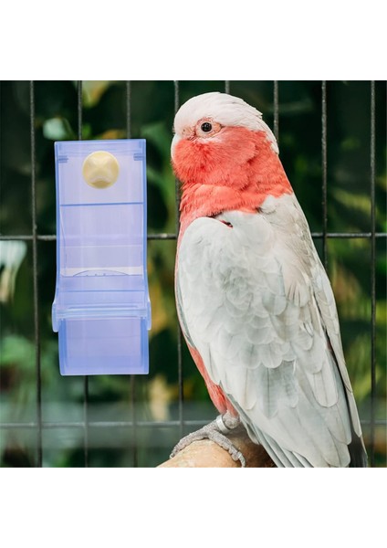 Papağan besleyici kuş gıda kasesi papağan konteyneri basit yapı besleme kasesi kuşlar kuş besleyici b (Yurt Dışından) fırsatları