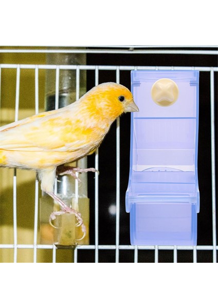 Papağan besleyici kuş gıda kasesi papağan konteyneri basit yapı besleme kasesi kuşlar kuş besleyici b (Yurt Dışından) indirimleri