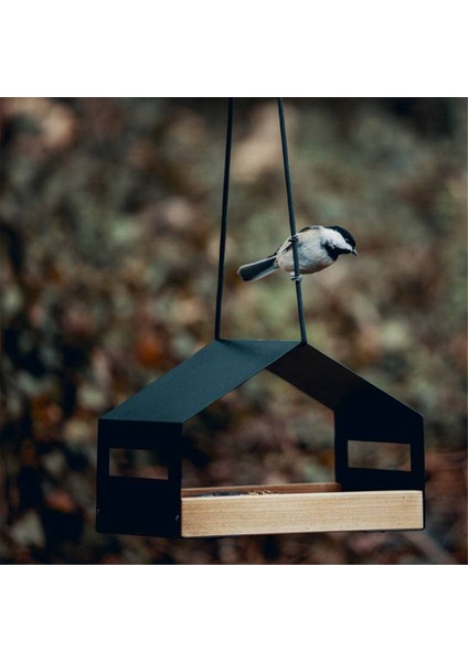 Asma Kuş Besleyici Evi Açık Kuş Besleyici Asma Fındık Besleme Gıda Dağıtıcı Tutucu (Yurt Dışından) modelleri