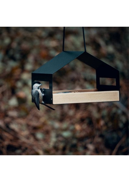 Asma Kuş Besleyici Evi Açık Kuş Besleyici Asma Fındık Besleme Gıda Dağıtıcı Tutucu (Yurt Dışından) fırsatları