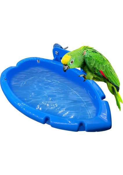 Papağan gıda tepsisi çok fonksiyonlu mavi küvet hayvan kafesi ayakta yıkama duş kutusu kuş oyuncakları evcil hayvan temizleme ürünü (Yurt Dışından) fiyatları