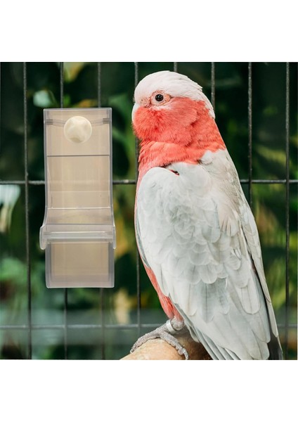 Papağan besleyici kuş gıda kasesi papağan konteyneri basit yapı besleme kasesi kuşlar kuş besleyici a (Yurt Dışından) fiyatları