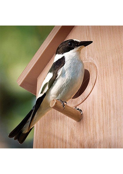 Kuş evi dış pencere yuva kutusu güçlü vantuz ile kuş evi (Yurt Dışından) fırsatları