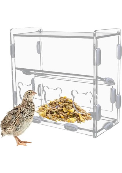 Papaz Besleyici Kutusu Akrilik Besleme Konteyneri No-Sess Çoklu Çizgi Kutusu Açık Kuş Yemek Dispenser Kutusu Finches Papağanlar (Yurt Dışından)