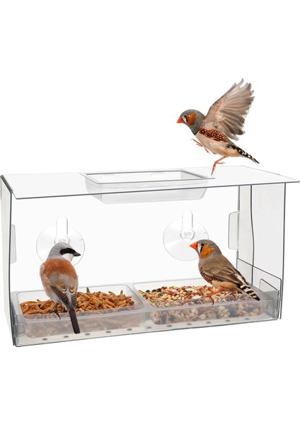 Pencere kuş besleyici. İzlerken kuşlar rahatsız edilmeden beslenir. Güçlü vantuzlara sahip yenilikçi pencere kuş besleyicileri (Yurt Dışından)