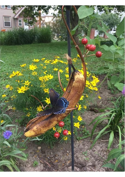 2pcs kelebek muz hammockoutdoor habitat, bahçe dekoru ve kelebek çekicisi dekor için asılı kelebek besleyici (Yurt Dışından) modelleri