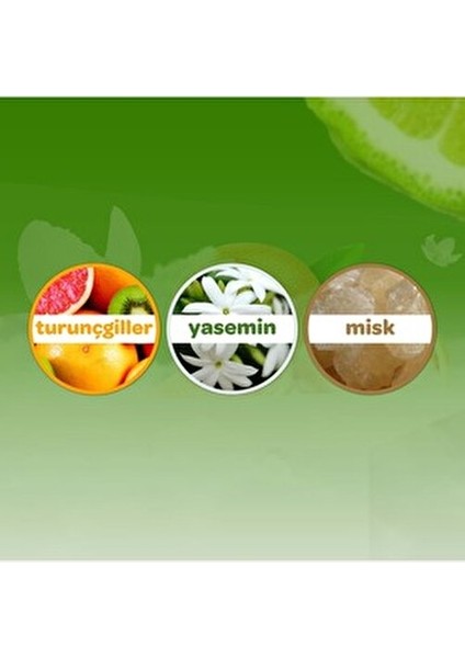 Bebek Kolonyası Limon Bergamot Papatya İçerikli 150 ml İkili Set modelleri