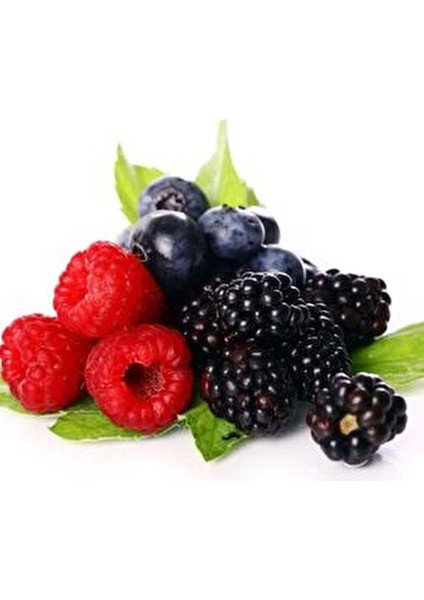 Vitamin Reload 2 lt Meyve Suyu 8 Vitamin ve Magnezyum İçeren Lezzetli İçecek fırsatları