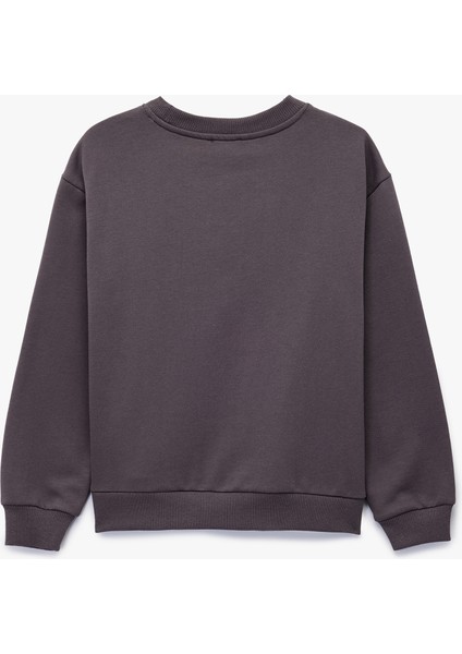 Uzun Kollu Bisiklet Yaka Baskılı Pamuklu Sweatshirt fiyatları