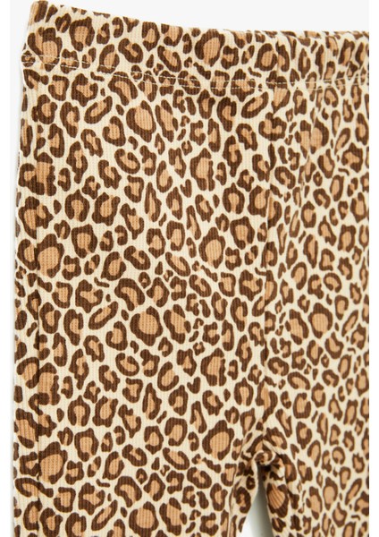 Leopar Desenli Beli Lastikli Pamuklu Ispanyol Paça Tayt modelleri