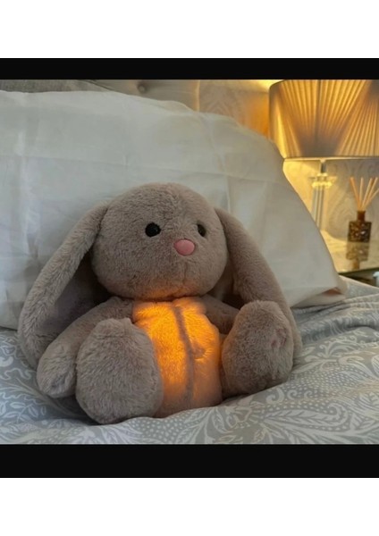 Peluş Oyuncak Uyku Arkadaşım 30 cm modelleri