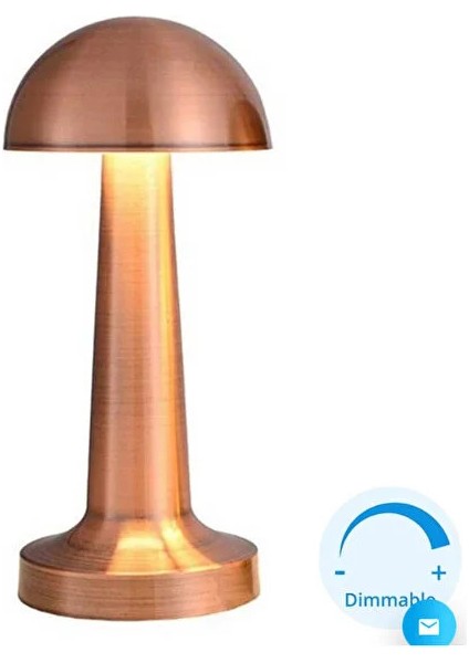 Cata SeckinStore Meltem LED Tavan Vantilatör Uzaktan Kumandalı CT-3010