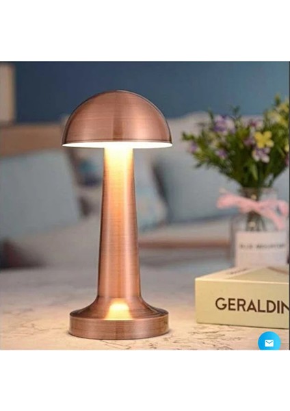 Cata SeckinStore Meltem LED Tavan Vantilatör Uzaktan Kumandalı CT-3010 fiyatları