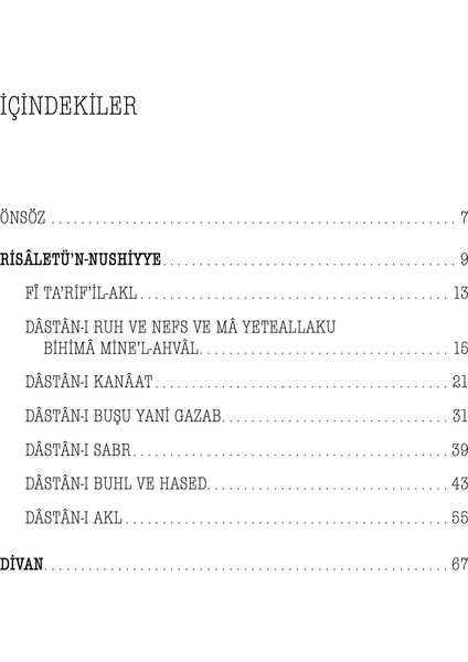 Risâletü’n-Nushiyye ve Divan - Yunus Emre modelleri