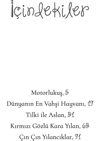 Motorlukuş - Cahit Zarifoğlu modelleri