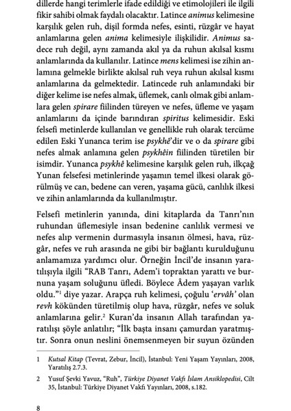 Ruhun Felsefesi - İhsan Berk Özcangiller