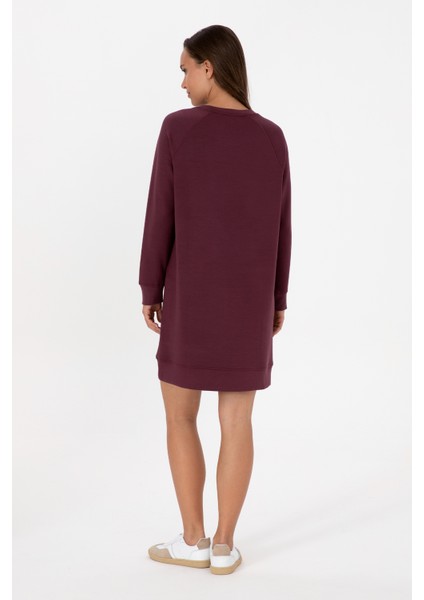 Kadın Plum Elbise (Örme) 50313438-VR177 fırsatları
