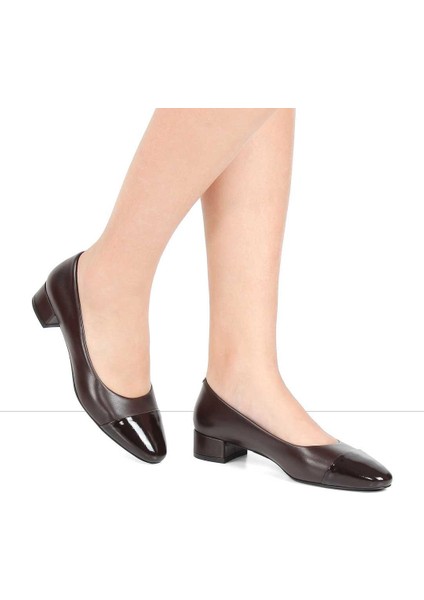 Kadın Kahverengi Kısa Kalın Topuklu Rugan Deri Klasik Ayakkabı fiyatları