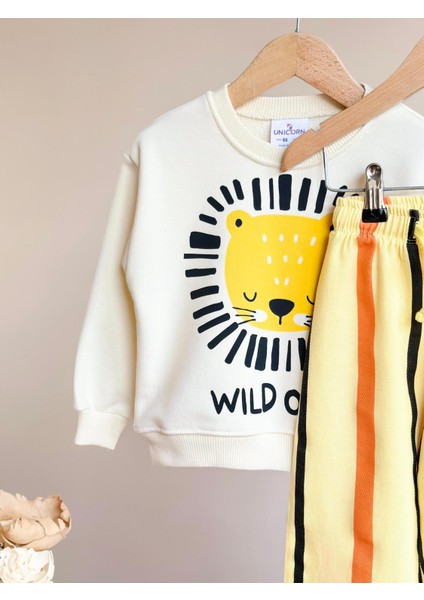 Barbosa Sweatshırt Coton Pantolon Eşortman Şık 2 Li Pamuklu Şardonsuz Erkek Takım fiyatları