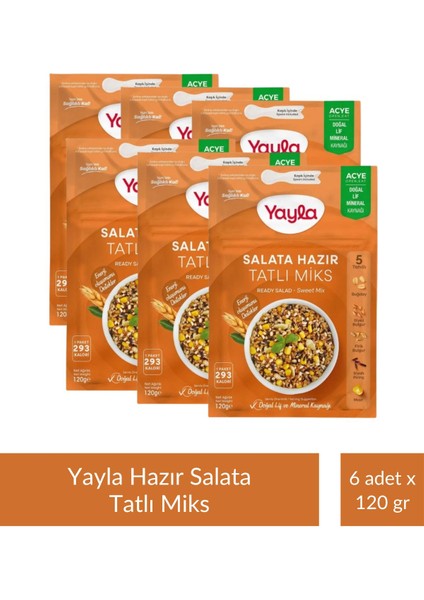 Salata Hazır Tatlı Miks 120 gr x 6 Adet