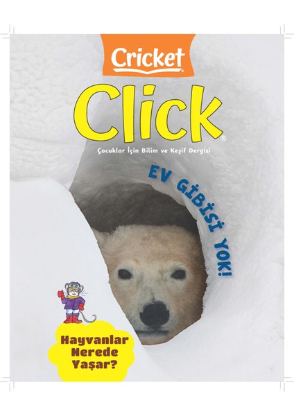 Crıcket Clıck Sayı 5