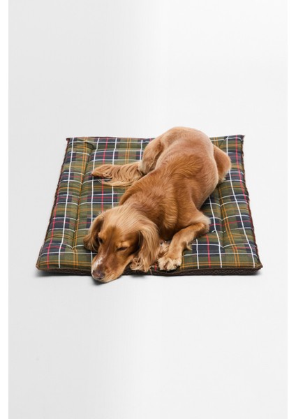 Köpek Minderi TN11 Classic Tartan