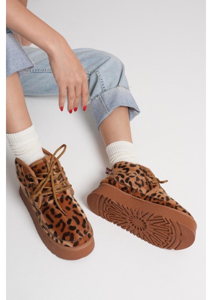 Elena Kadın Kışlık Içi Kürklü Kalın Taban Leopar Desen Bot fırsatları