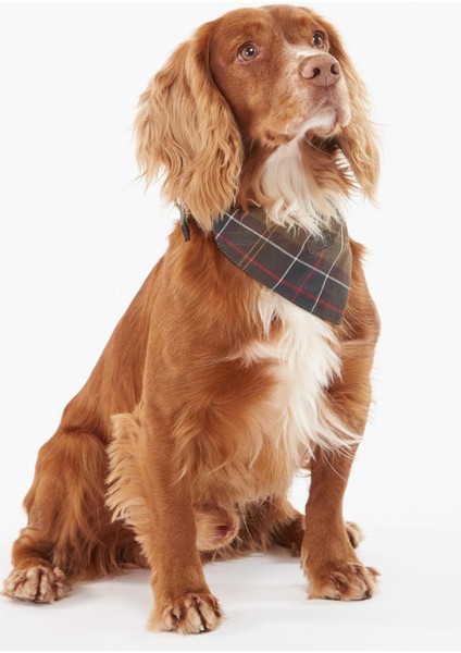 Tartan Köpek Bandanası TN11 Classic Tartan