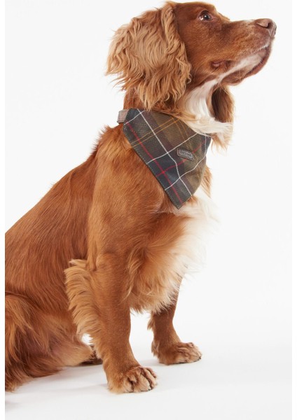 Tartan Köpek Bandanası TN11 Classic Tartan fırsatları