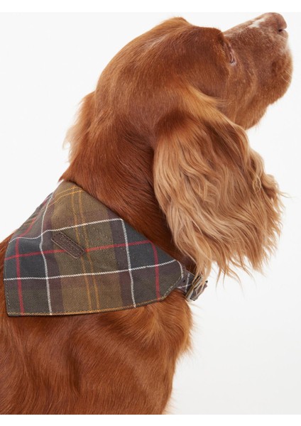 Tartan Köpek Bandanası TN11 Classic Tartan indirimleri