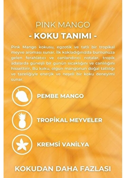 Çubuklu Oda Kokusu Pink Mango Tropik Koku 100 ml Şık Dekoratif Tasarım