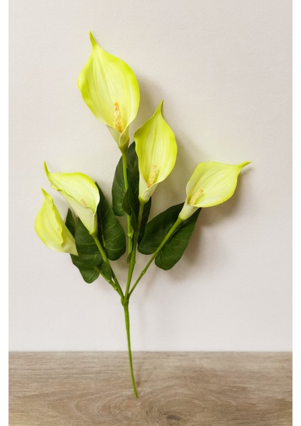 Yapay Çiçek Islak Gala Yeşil 5 Dal 80 cm