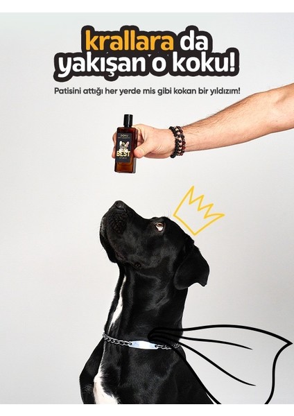 Pet Kedi ve Köpek Parfümü Anti-alerjen 50 ml indirimleri