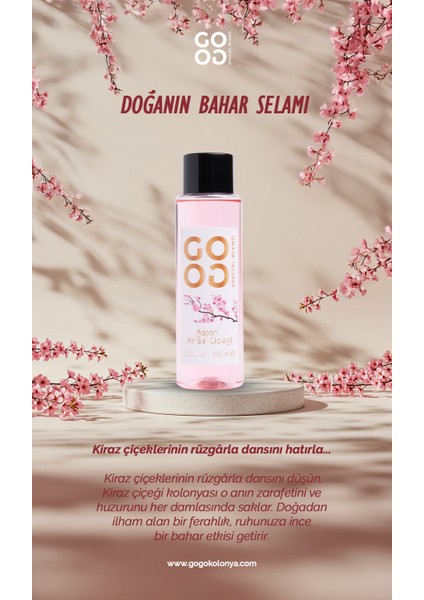 Gogo 5'li Kolonya Seti 250ML Pet Şişe (Love, Aqua, Lemon Cheesecake, , Japon Kiraz Çiçeği, Spice) indirimleri
