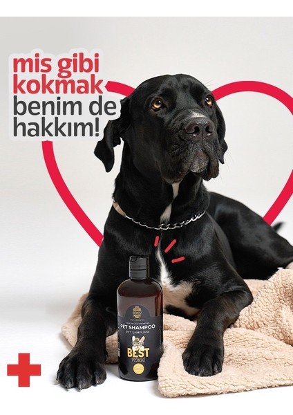 Pet Cosmetic Kedi ve Köpekler Için Göz Yakmayan Şampuan 500 ml fırsatları