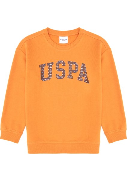 Erkek Çocuk Bakır Sweatshirt 50316527-VR182