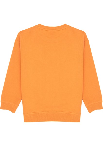 Erkek Çocuk Bakır Sweatshirt 50316527-VR182 fiyatları