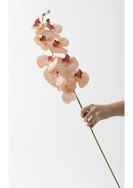 Yapay Islak Orkide Çiçeği Baskılı Tek Dal 100 cm Acık Kahve