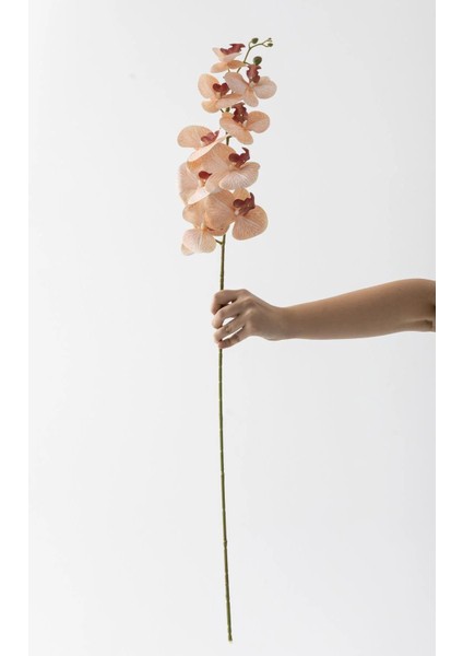 Yapay Islak Orkide Çiçeği Baskılı Tek Dal 100 cm Acık Kahve modelleri