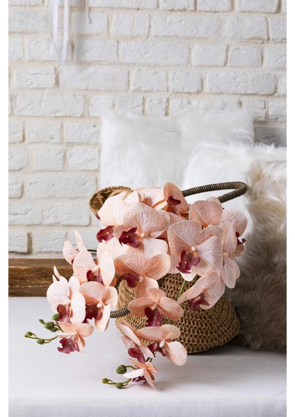 Yapay Islak Orkide Çiçeği Baskılı Tek Dal 100 cm Acık Kahve fırsatları
