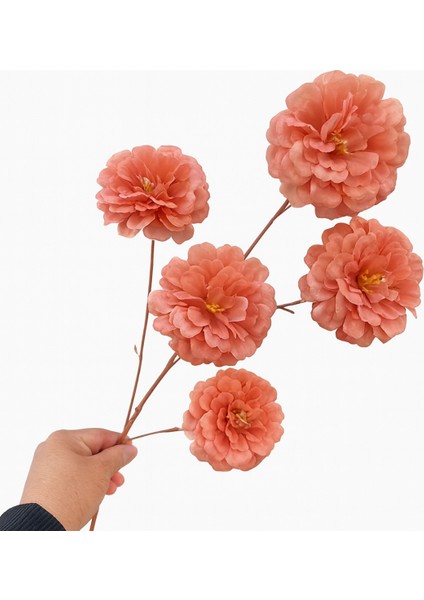 Yapay Çiçek Acık Şakayık 5 Li 80 cm Acık Kahve