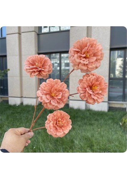 Yapay Çiçek Acık Şakayık 5 Li 80 cm Acık Kahve modelleri