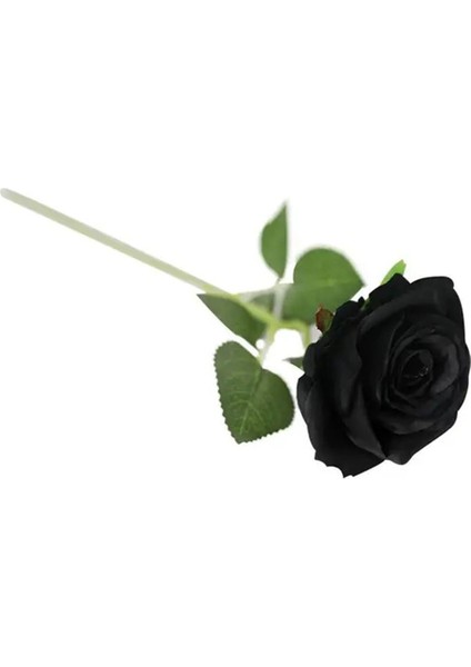 Yapay Kadife 10 Adet Gül Dalı 50 cm Siyah Lüx Ekvator Gül modelleri