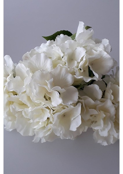 Adresiyapayçiçek Yapay Çiçek 5 Dal Lux Ortanca Demeti Ekru – Yapay Çiçek Dekor, Masa Süsü, Fon fiyatları