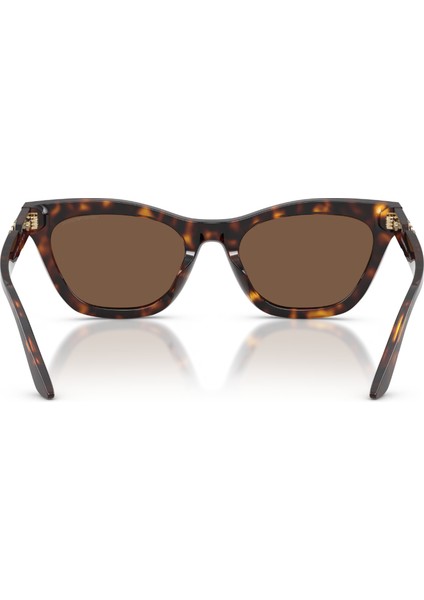 Ea 4259U 502673 55 Emporio Armani Güneş Gözlüğü modelleri