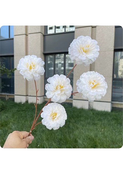 Yapay Çiçek Acık Şakayık 5 Li 80 cm Beyaz
