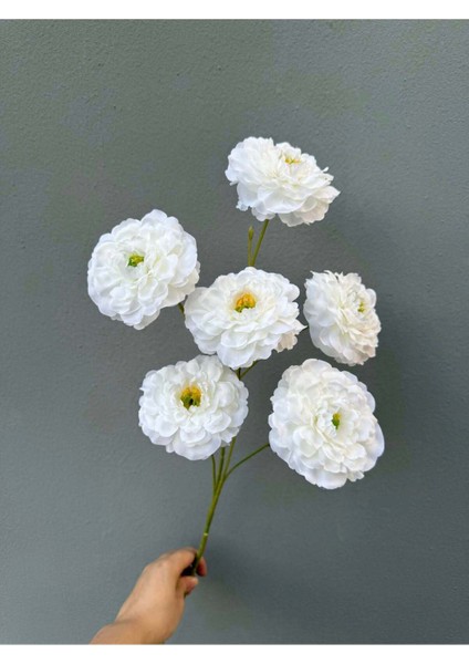 Yapay Çiçek Acık Şakayık 5 Li 80 cm Beyaz fiyatları