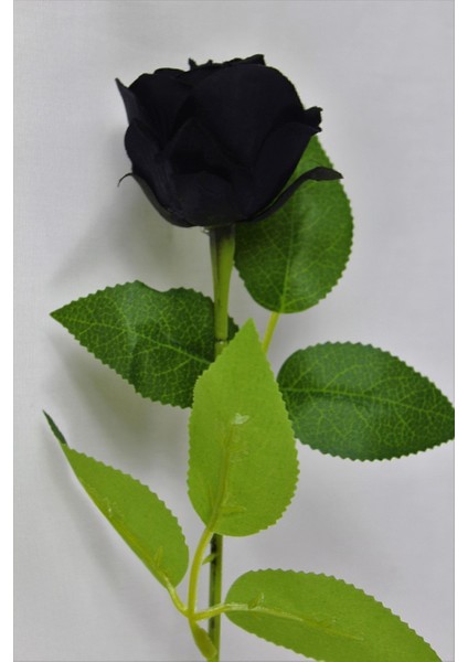 Özel Siyah Yapay Gül 5 Adet 30 cm indirimleri