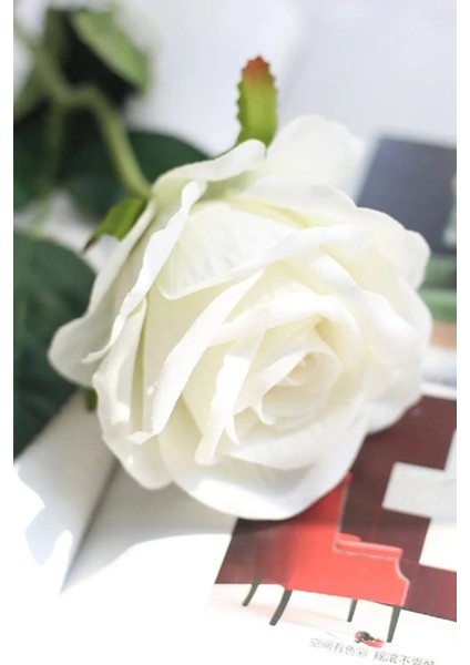 Yapay Kadife 10LU Gül Dalı 50 cm Beyaz fiyatları